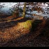 20150106_059